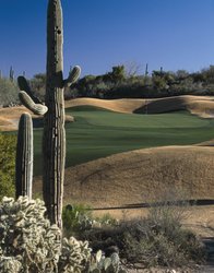  - Starr Pass Golf Suites Tucson
