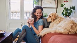  - Staybridge Suites Davenport - I-74, Exit 1