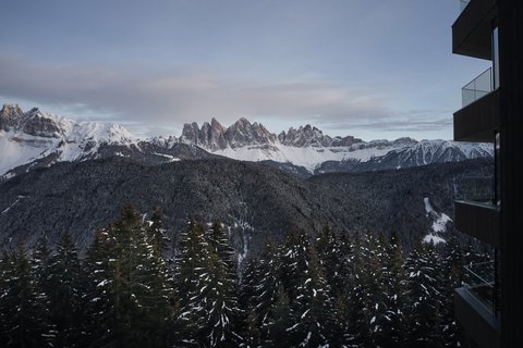 FORESTIS - Photo 76