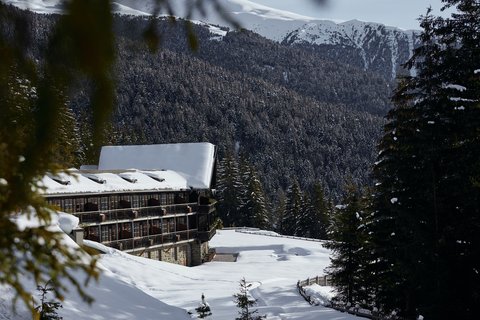 FORESTIS - Photo 77