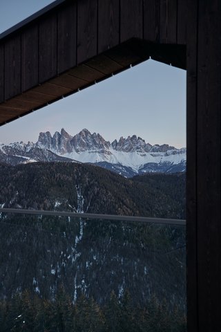 FORESTIS - Photo 79