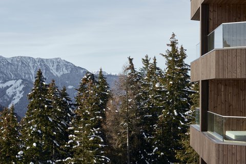 FORESTIS - Photo 82