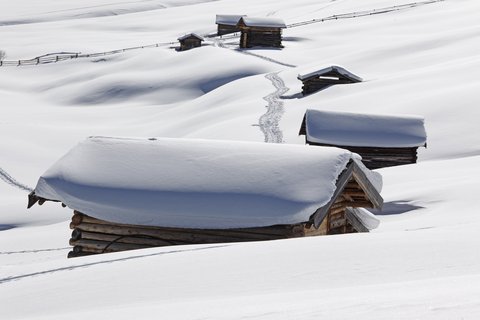 FORESTIS - Photo 72