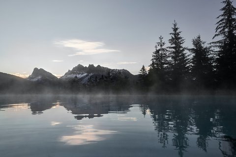 FORESTIS - Photo 38