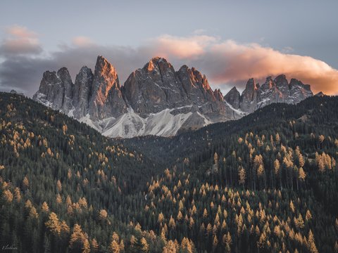 FORESTIS - Photo 54