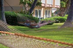  - Kauai Coast Resort at the Beachboy Kapaa