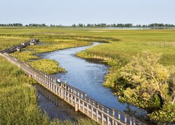  - Holiday Inn Express & Suites Lakeshore Windsor