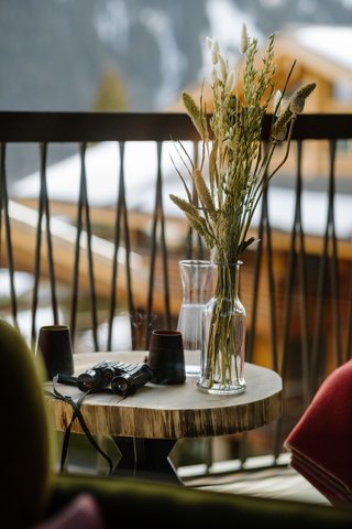 BERGWELT GRINDELWALD - Photo 28