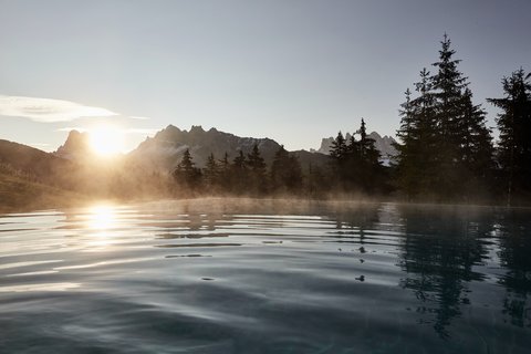 FORESTIS - Photo 42