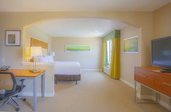  - Holiday Inn Express & Suites Spring - I-45, Exit 73