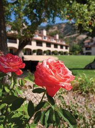  - WorldMark Clear Lake Resort Nice