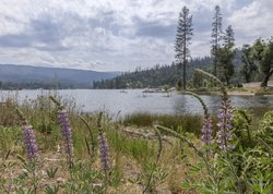  - WorldMark Resort Bass Lake