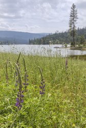  - WorldMark Resort Bass Lake