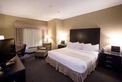  - Holiday Inn & Suites Lake Elmo - I-94, Exit 250