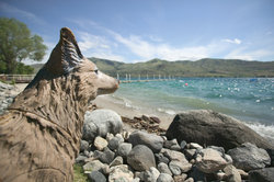  - WorldMark Lake Chelan Shores Resort
