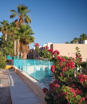 Worldmark Havasu Dunes Resort