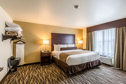 - Cobblestone Hotel & Suites Stevens Point