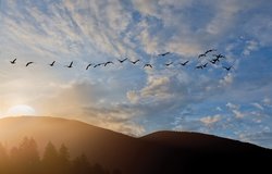  - WorldMark Running Y Resort Klamath Falls