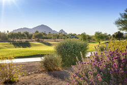  - WorldMark Resort Scottsdale