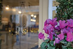  - Club Wyndham Canterbury at San Francisco Resort