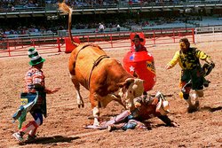  - Candlewood Suites Cheyenne - I-25, Exit 9