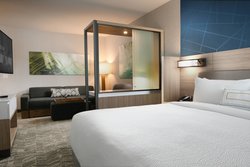  - SpringHill Suites by Marriott DFW Airport South Fort Worth