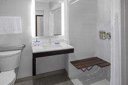  - Holiday Inn Express & Suites Asheville - I-26, Exit 33