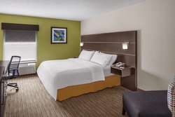  - Holiday Inn Express & Suites Asheville - I-26, Exit 33