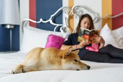  - Marker Hotel Downtown San Francisco