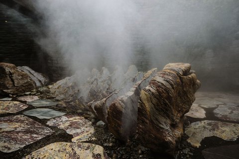 BERGWELT GRINDELWALD - Photo 124