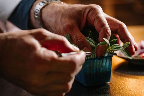 BERGWELT GRINDELWALD - Photo 142