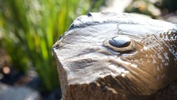  - Zen Hotel Palo Alto