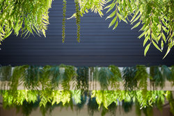  - Kimpton Alton Hotel Fishermans Wharf San Francisco