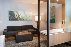  - SpringHill Suites by Marriott Lake Forest - I-5, Exit 92