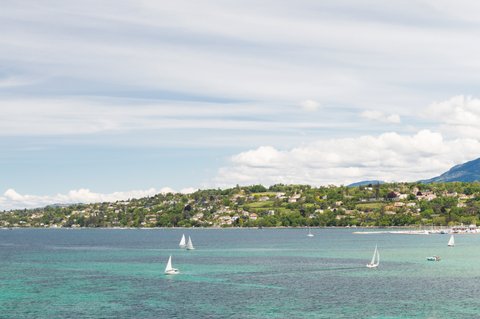 THE WOODWARD GENEVA - Photo 105