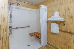  - Holiday Inn Express & Suites Bowling Green - I-75, Exit 181