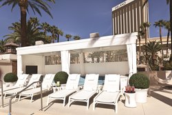  - Delano MGM Resort Las Vegas