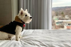  - Ithaca Marriott Hotel Downtown on the Commons