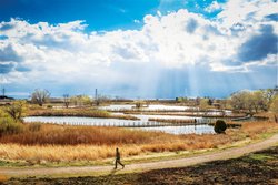  - Holiday Inn Stapleton Plaza Denver - I-70, Exit 278