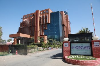 Orchid Pune