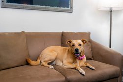  - Fairfield Inn & Suites by Marriott Bayside Clearwater