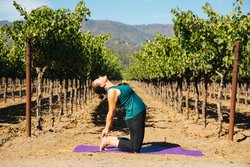  - Harvest Inn St Helena