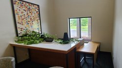  - Holiday Inn Express Newton Falls - I-80, Exit 209