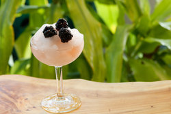  - Kimpton Surfcomber Hotel Miami Beach