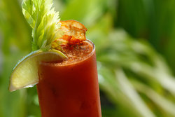  - Kimpton Surfcomber Hotel Miami Beach