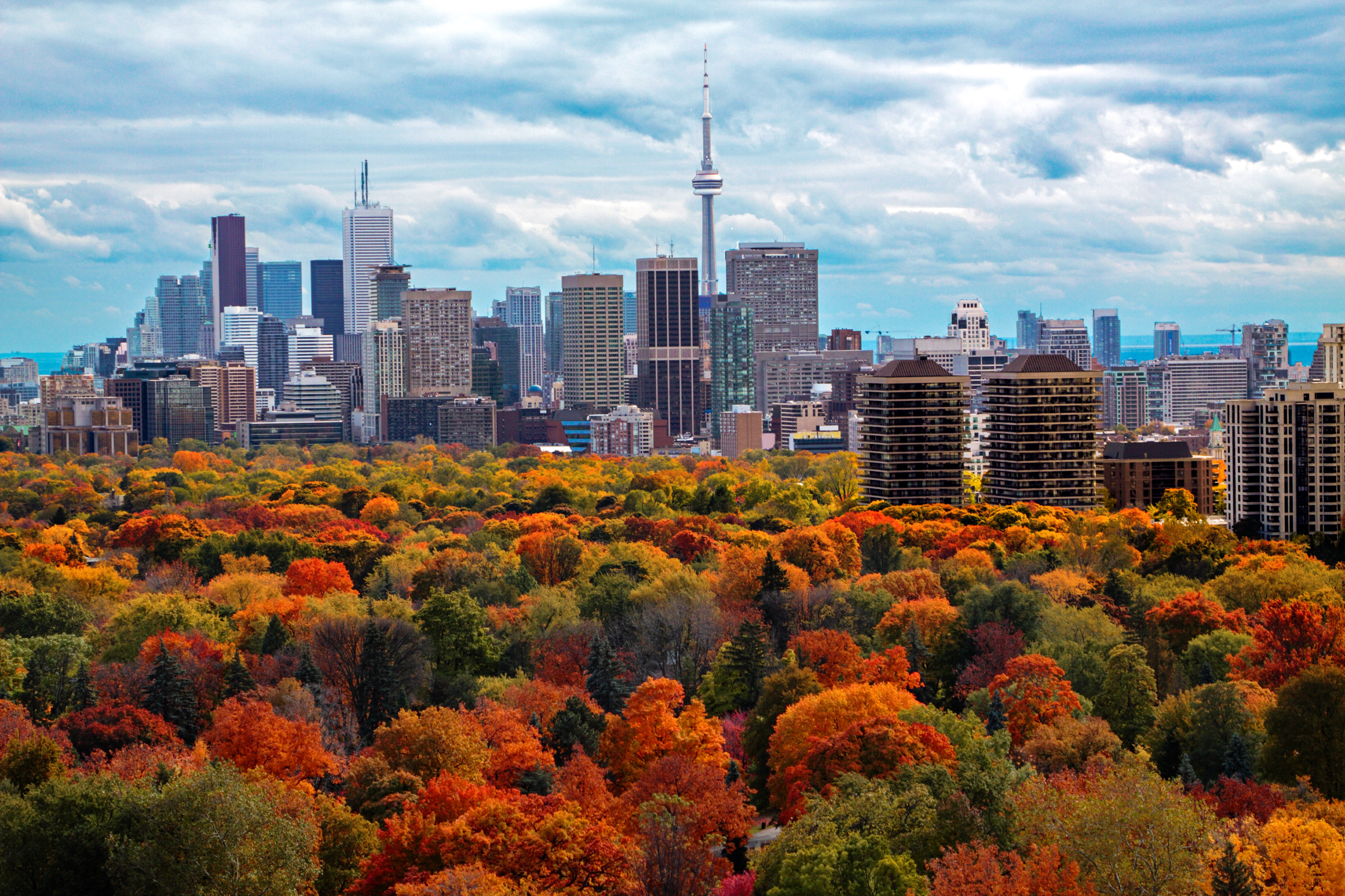 Toronto Skyline Fall
