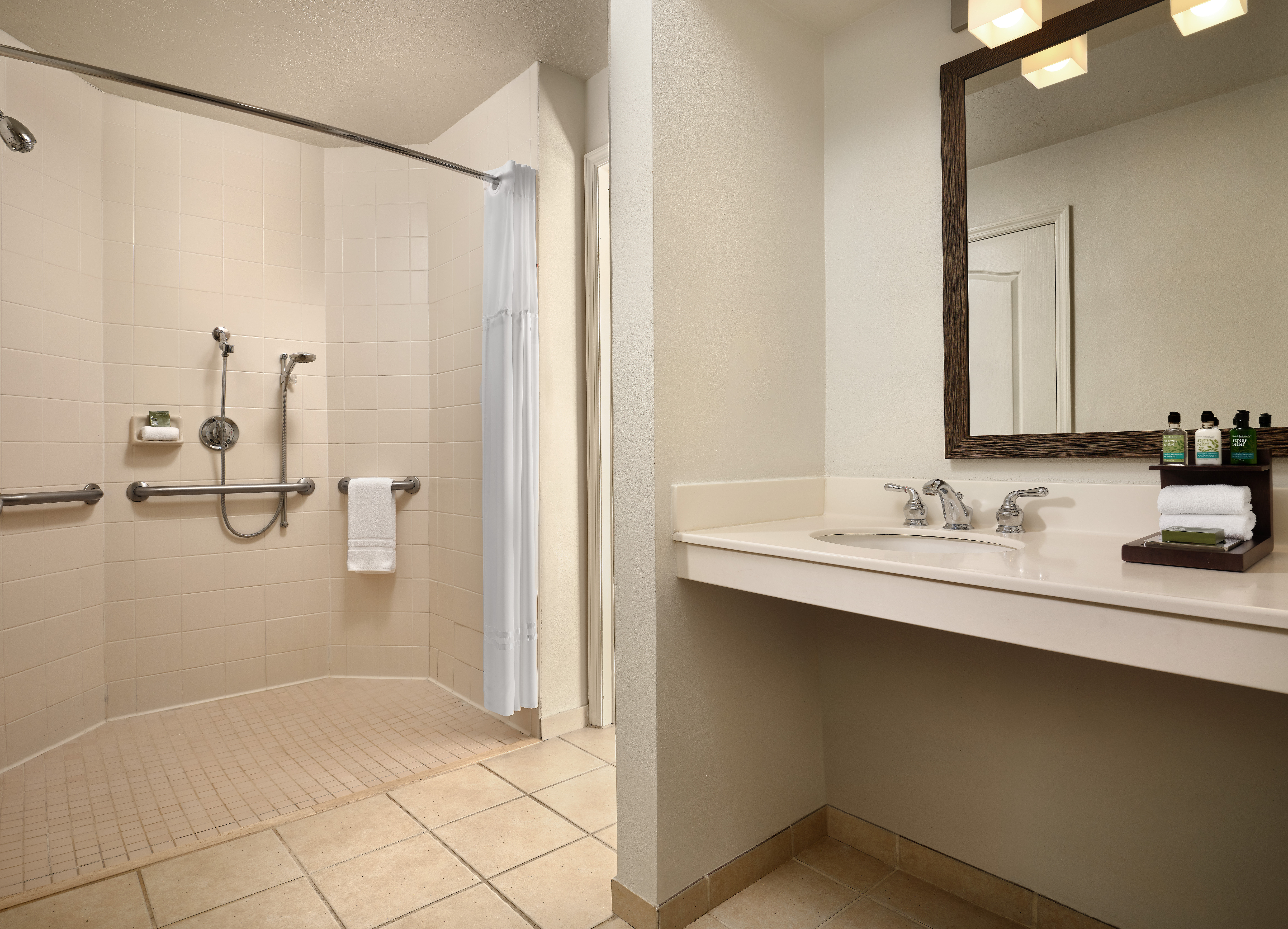 Villa Accessible Roll-In Shower
