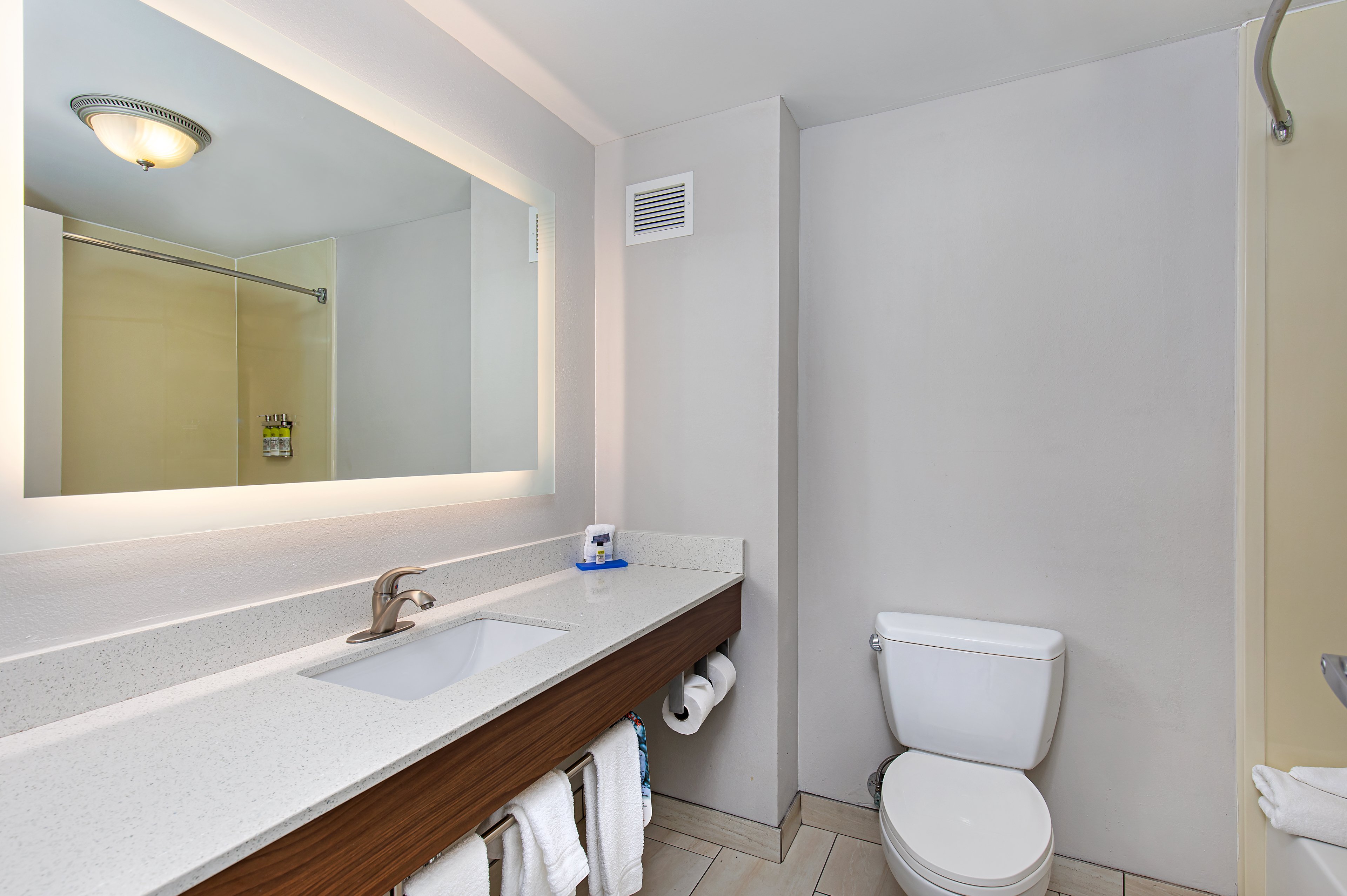 Bathroom has large lighted mirror and plenty of counter space!