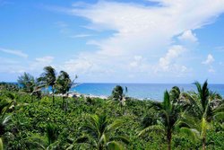  - Palm Beach Singer Island Resort