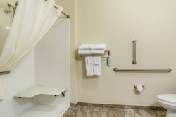  - Cobblestone Hotel & Suites Greenville